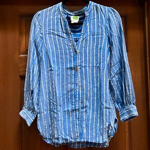 Anthropologie Bright Blue Stripe Button Down Shirt